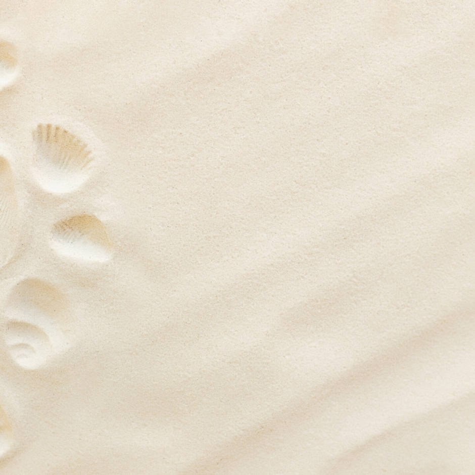 Travel flat lay, vacation concept. Sea shell print on sand and conch imprint. Travelling to warm countries, vacation trip. Copy space for different travel text. Banner with summer sand waves and sun